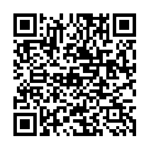 整个坎儿庄里面零星分布着大大小小四十多家酒店二维码生成