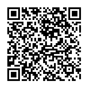 整个多元宇宙的生物都看到了一副恐怖的场景――遮天蔽日的翼蛇张开巨吻二维码生成