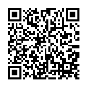 整个天圣宗的上方陡然间充斥着无数的恐怖的空间裂缝二维码生成