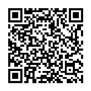 整个天空足足有数千条生命之光如星系一般地在盘旋二维码生成