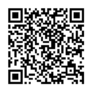 整个天镇关上古遗迹中所有的阵法都已经坍塌消失二维码生成