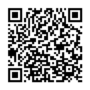 整个太夏这些日子都在防止血人渗透和各地爆发新的血人之灾二维码生成