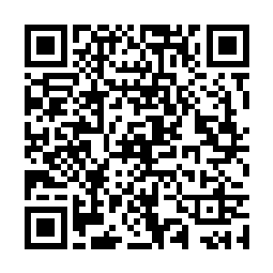 整个孙家别墅都笼罩在一层绝对安全的金属板之内二维码生成