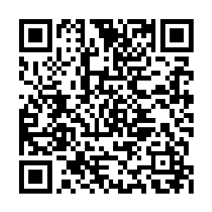 整个宫殿树内都是小树的树叶发出的动听的声音二维码生成