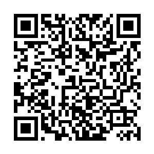 整个寒冰世界的种族血脉都是从冰雪女皇手上流出来的二维码生成