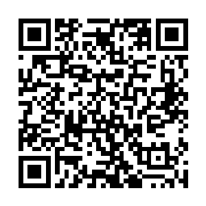 整个巫蛊门宝藏内的所有宝物全都想小鼎内自动飞来二维码生成