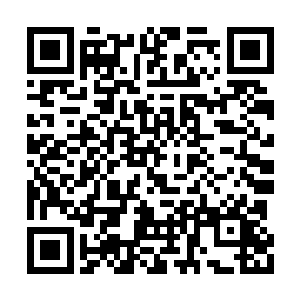 整个指挥部里就剩下银狼米歇尔和姜玉安两个人二维码生成