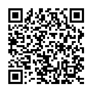 整个早晨朱平安都是伴随着这位书生的单曲循环温习四书五经的二维码生成