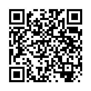 整个旺多姆的人都知道海鲨的可怕二维码生成