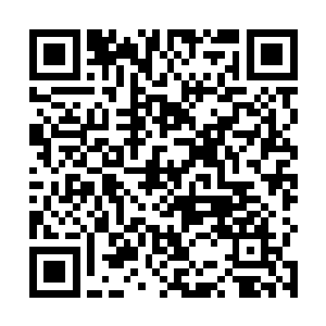 整个民族素质急速提高后的国家能量的一次爆发式外放二维码生成