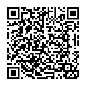 整个河道在吴虎臣这蕴含了金丹七成实力的攻击之下居然被轰了一个底朝天二维码生成