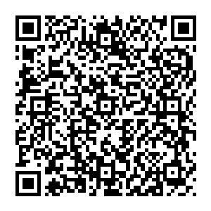 整个渔具一套下来标准的是三百二十节当然了你想要组装多大只有节数够你哪怕两套和一套也没人管你二维码生成