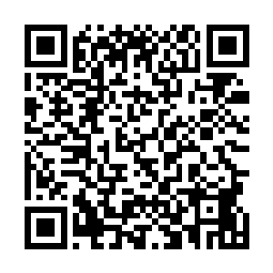 整个湖泊中的那浓郁的灵气再一次快速地向着许紫烟聚集二维码生成