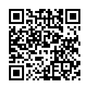 整个灵宠阁里的妖兽要么被笼子装着二维码生成