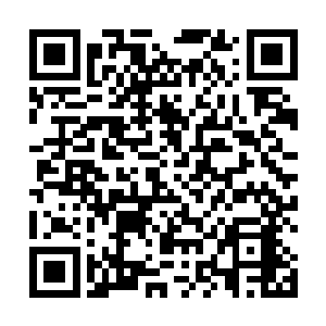 整个熊熊烈焰不知什么时候化作了一颗巨大龙头的形态二维码生成