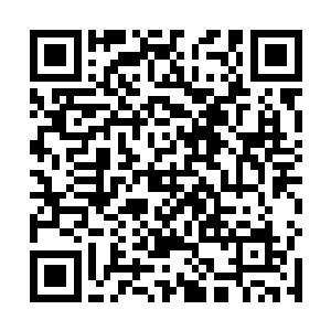 整个王朝大比当中能够对他造成威胁的只有周日月一人二维码生成