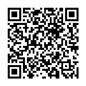 整个神京城的四周突然间升起无数色彩斑斓的光柱二维码生成