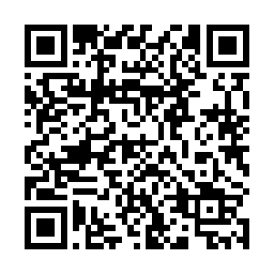 整个羿界域的资源财富几乎百分之八十以上集中在羿界二维码生成