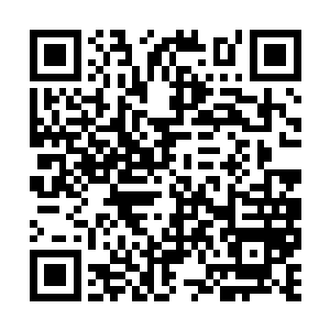 整个肉身自动发动了应急机制以抵抗这莫名的侵袭二维码生成