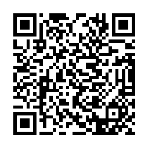 整个菲德尔家族在英伦帝国的据点整整缩小了一圈二维码生成