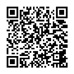 整个蓝丝巾计划的所有人几乎都在注视着雷欢喜二维码生成