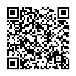 整个血海世界一片漆黑我是依靠着夜视能力观察一切的二维码生成