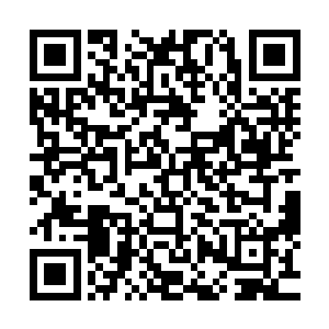 整个诸天百界无数的强者经过各种尝试都无法达到仙尊的层次二维码生成