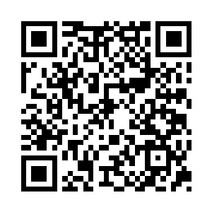 整个赵家的人都要求赵虎这个赵家的主人二维码生成