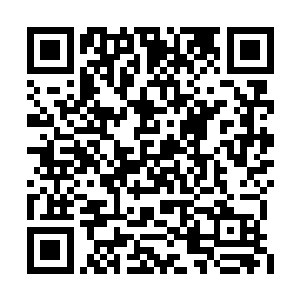 整个身体在白色的巨大熊掌之下跳着轻盈的舞步二维码生成