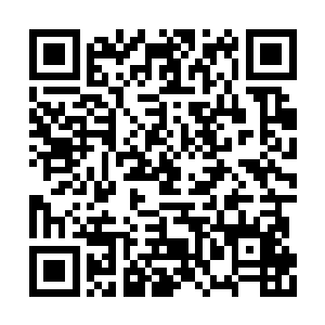 整个身体就好像一只大鸟一般迅速从半空中划过二维码生成