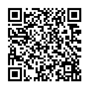 整个身体就是以一道极为柔韧的方式攻向了古灵二维码生成