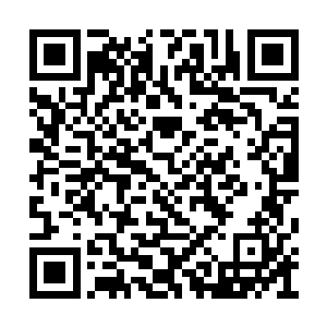 整个身形便仿佛安装了一个弹射装置的火箭一般二维码生成