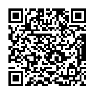 整个身躯都如一颗高速炮弹似地撞在了圣灵王的身上二维码生成