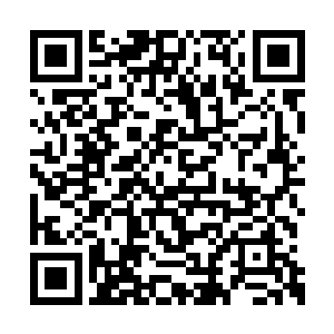 整个阳极宗宗门驻地早已经变得毁坏的不成样子二维码生成