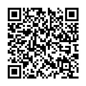 整个鬼魂区域的所有鬼魂都开始不安的躁动起来了二维码生成