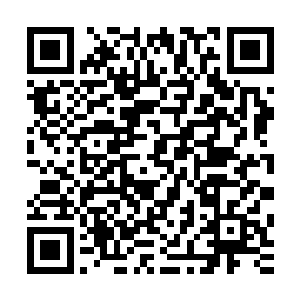 整个魔族守护之地在接下来的一个月内变成了一个巨大的坊市二维码生成