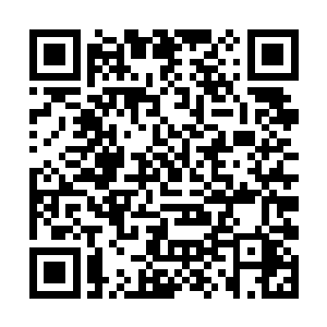 整个鸟身几乎将青山书院这边的建筑楼全部都盖住了二维码生成