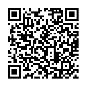 整个黎阳地区的猕猴桃种植业必将迎来一个高速发展期二维码生成