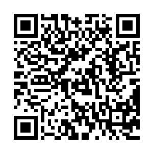 整体看上去几乎和修罗星灵智显现出来的外形一模一样二维码生成