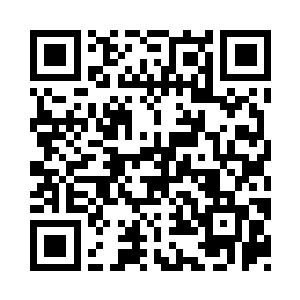 整块乱石山差不多就被她们整合起来了二维码生成