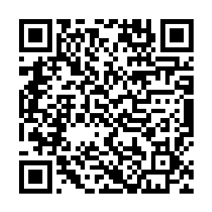 整天在战马屁股上放两个装满水的猪尿泡满东京城晃荡二维码生成