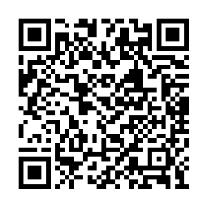 整座城池也像是在这轰鸣与火焰中崩溃与沦陷了二维码生成