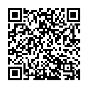 整座青城是由上百个不大不小的悬浮岛组成的一条绵长的边境线二维码生成