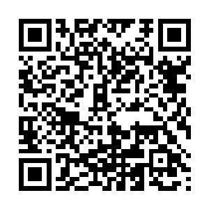 整张漂亮的脸蛋因为他此刻冷笑着冷冽话语而变得扭曲二维码生成