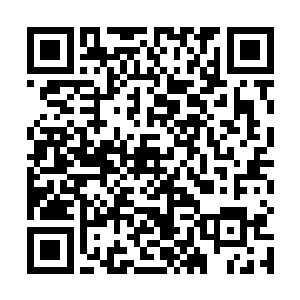 整整半年时间雨果的面孔几乎天天都可以在报纸上看到二维码生成