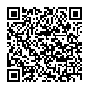 整整超过百名圣王境界的强者和一名圣皇境界的盖世强者已经全部生死未知二维码生成