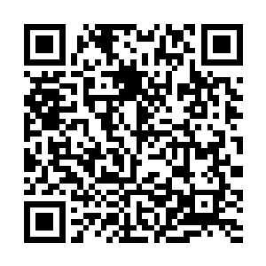 整株引魂莲的药力已经全部被凯亚给吸收的一干二净二维码生成