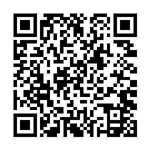整片虚拟空间都在血色心魔的咆哮和激荡中瑟瑟发抖二维码生成