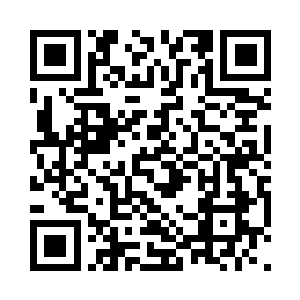 整艘渔船上的湾虾就像听到了好消息一样二维码生成
