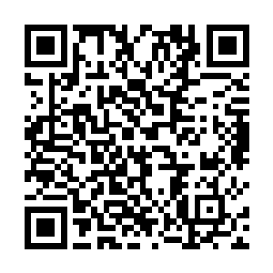 整部电影其实核心思想是在讨论贪婪和人性之间的抉择二维码生成